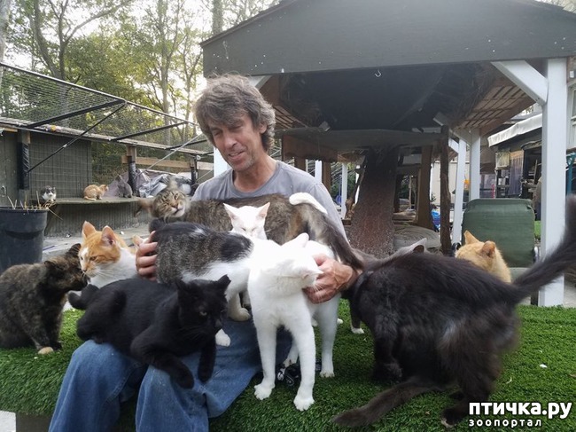 ���� 4: ���������� ������� ����, �� 30 ����� ������ ��� �� ���������� ���������