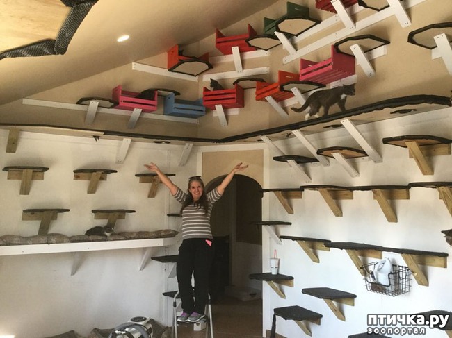 ���� 5: ���������� ������� ����, �� 30 ����� ������ ��� �� ���������� ���������