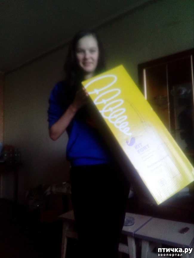 ���� 1: ���� ������!!!