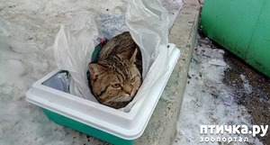 ����: �������� � �������� �� �������