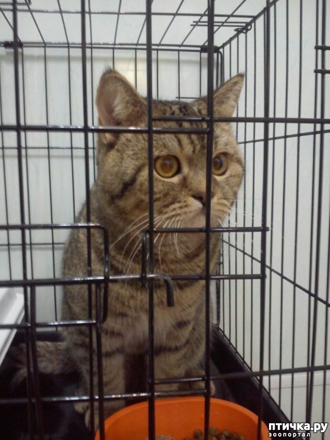 ���� 3: �������� � �������� �� �������