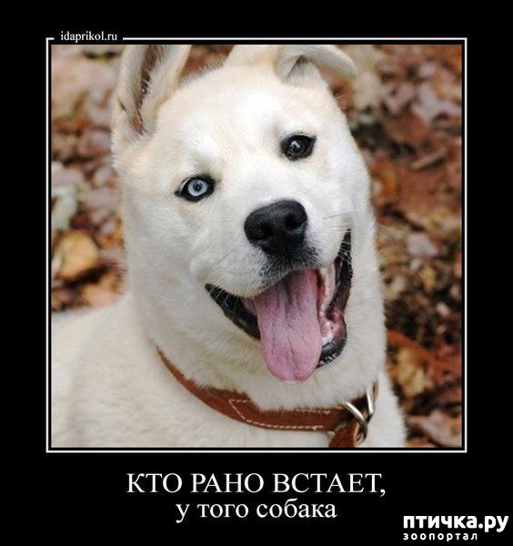 ���� 1: �������� �������.