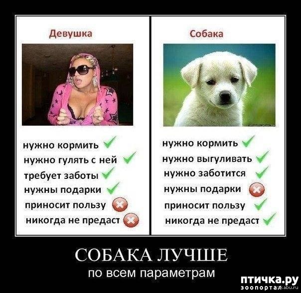 ���� 1: ���������� � ������...