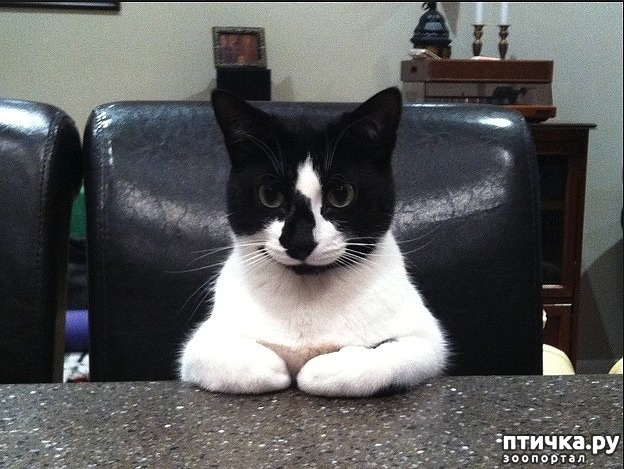 ���� 5: ��, �����������...