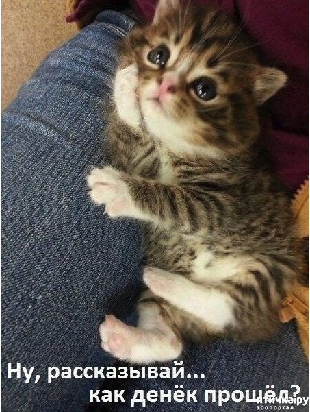 ���� 9: ��, �����������...