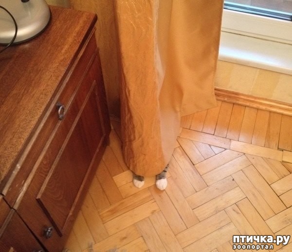 ���� 2: ������� �� ������� � ������ � �����. � ��� ��� ������ �� ������.