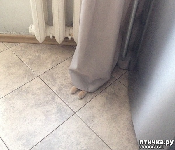 ���� 3: ������� �� ������� � ������ � �����. � ��� ��� ������ �� ������.