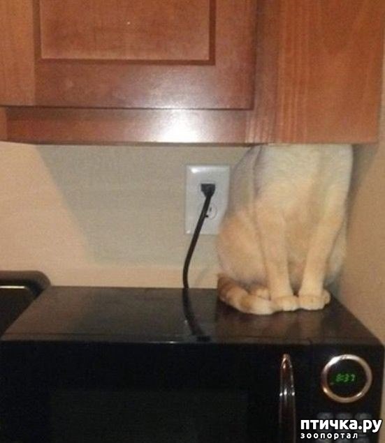 ���� 4: ������� �� ������� � ������ � �����. � ��� ��� ������ �� ������.