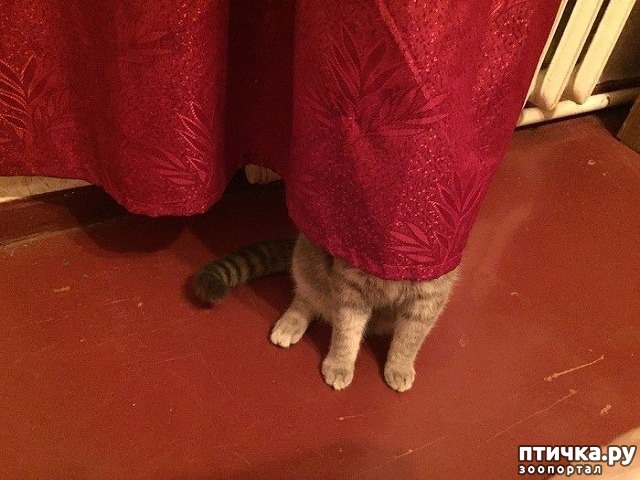 ���� 6: ������� �� ������� � ������ � �����. � ��� ��� ������ �� ������.