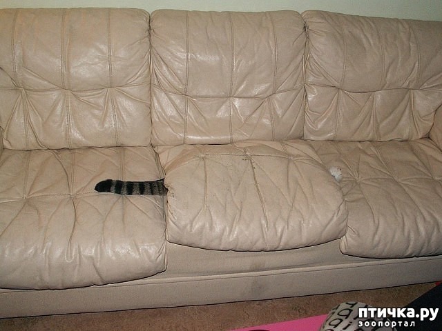 ���� 7: ������� �� ������� � ������ � �����. � ��� ��� ������ �� ������.