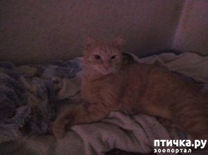 ����: ��������� � "�����" �����