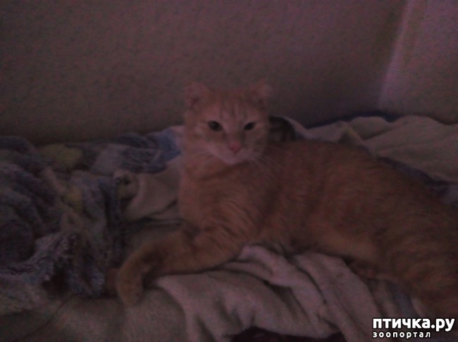 ���� 1: ��������� � 