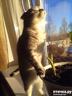 ����: �����, ������� � ����������� ���� �����)))