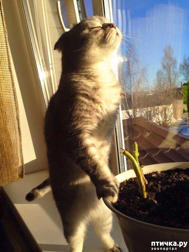 ���� 1: �����, ������� � ����������� ���� �����)))