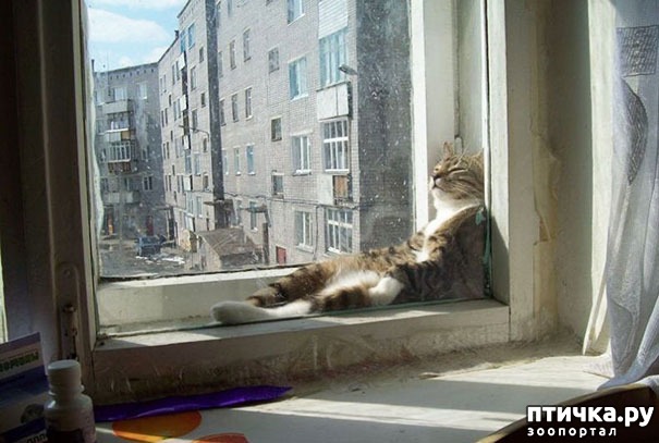 ���� 5: �����, ������� � ����������� ���� �����)))