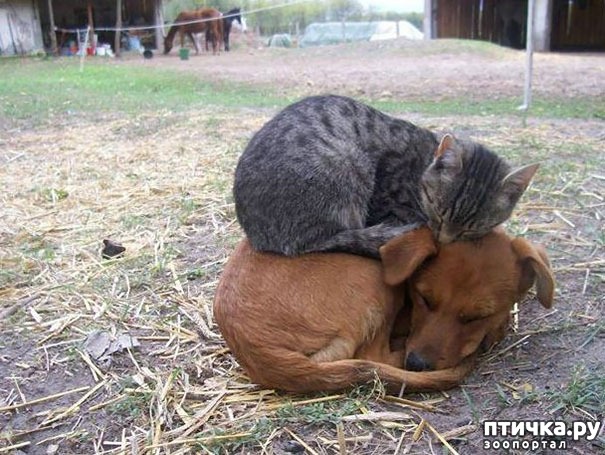 ���� 7: �����, ������� � ����������� ���� �����)))