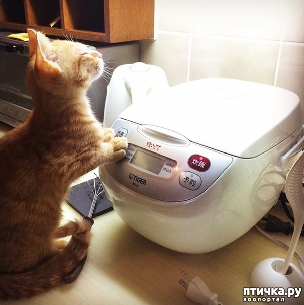 ���� 11: �����, ������� � ����������� ���� �����)))