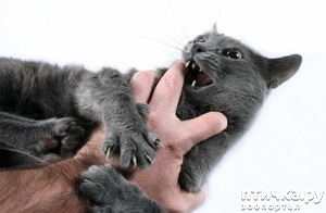 ����: ������ ����� ��������? 5 ������� ������