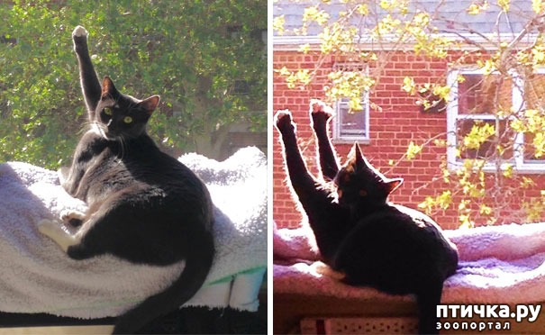 ���� 13: �����, ������� � ����������� ���� �����)))