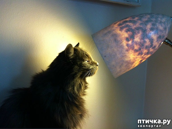 ���� 14: �����, ������� � ����������� ���� �����)))