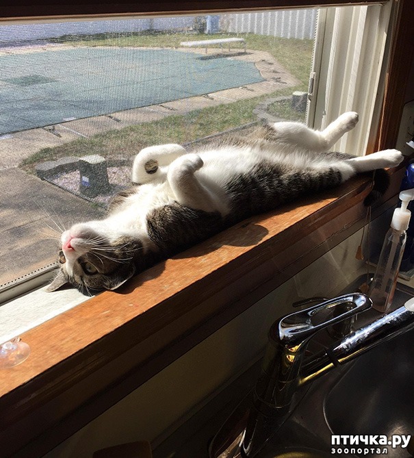 ���� 16: �����, ������� � ����������� ���� �����)))