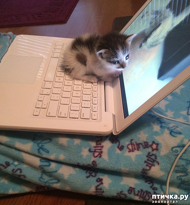 ���� 17: �����, ������� � ����������� ���� �����)))