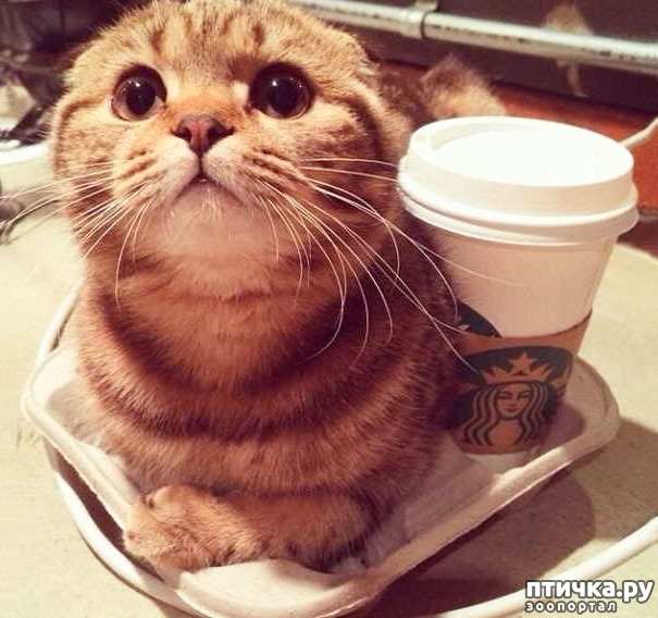 ���� 18: �����, ������� � ����������� ���� �����)))