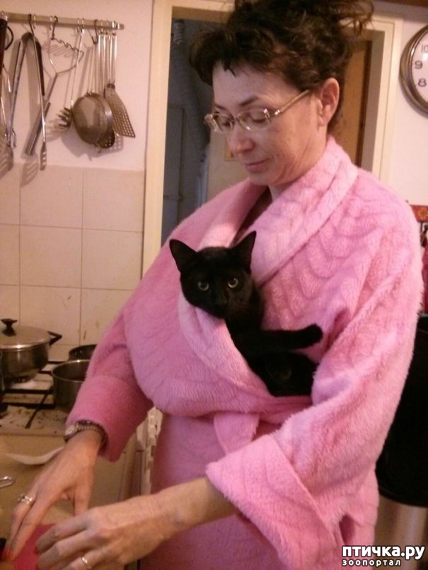 ���� 20: �����, ������� � ����������� ���� �����)))