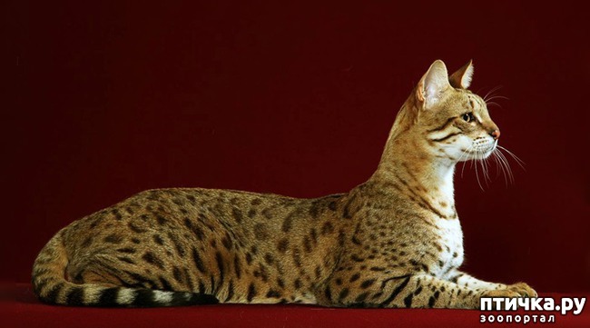 ���� 1: ����� �����, ������ ��� �����