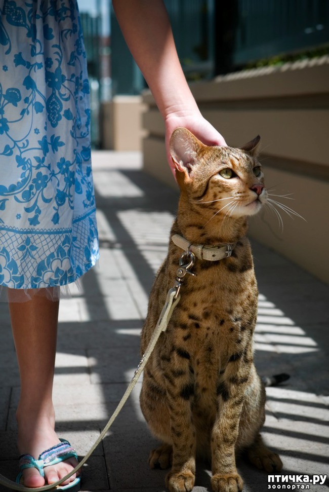 ���� 2: ����� �����, ������ ��� �����