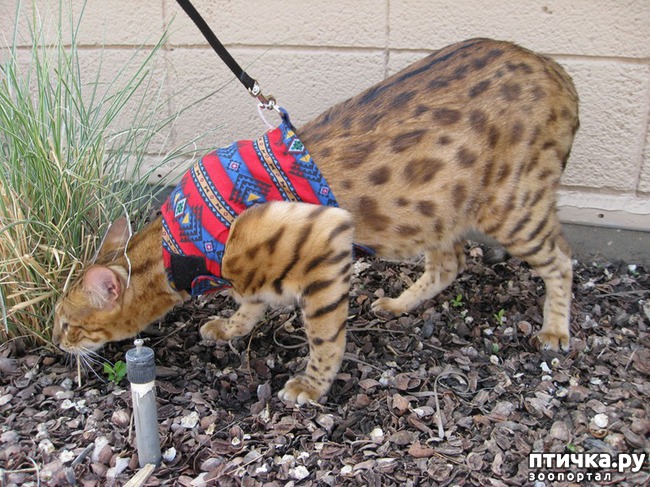 ���� 3: ����� �����, ������ ��� �����