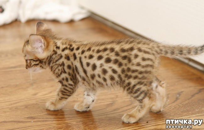 ���� 5: ����� �����, ������ ��� �����