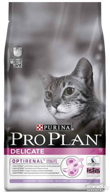 ���� 6: ����� �����, ������ ��� �����