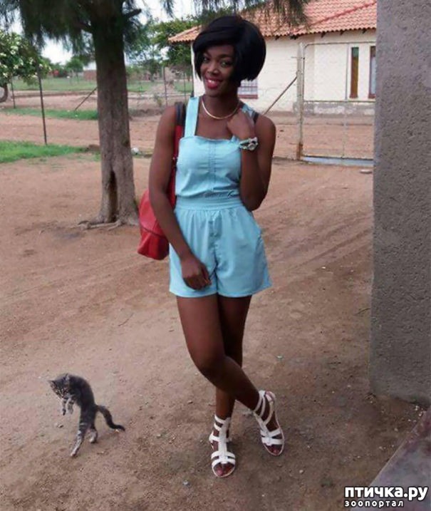 ���� 3: ����, ��������� ��� ���������� 