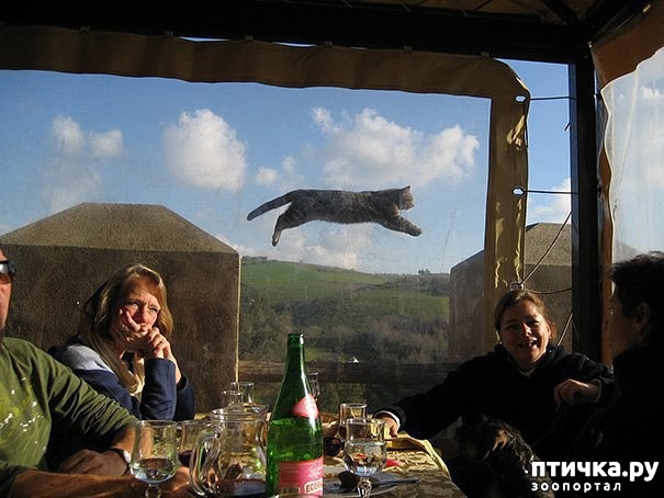 ���� 10: ����, ��������� ��� ���������� 