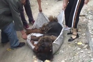 ����: ��������� �� ����� �������� � ��, ��� ������� ��� ����� ������� ������