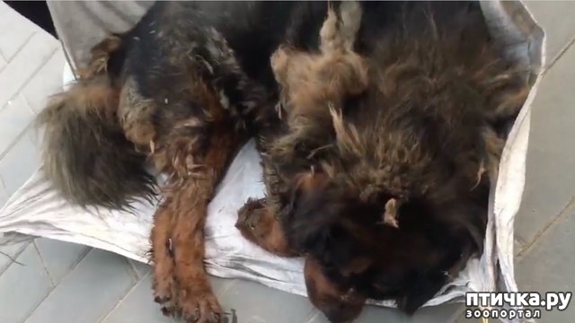 ���� 2: ��������� �� ����� �������� � ��, ��� ������� ��� ����� ������� ������