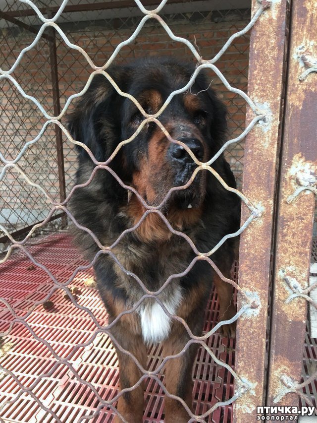 ���� 3: ��������� �� ����� �������� � ��, ��� ������� ��� ����� ������� ������