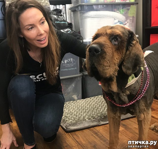 ���� 5: ��������� �� ����� �������� � ��, ��� ������� ��� ����� ������� ������