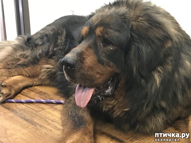 ���� 6: ��������� �� ����� �������� � ��, ��� ������� ��� ����� ������� ������