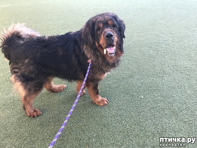 ���� 7: ��������� �� ����� �������� � ��, ��� ������� ��� ����� ������� ������