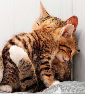 ����: ����� � �������