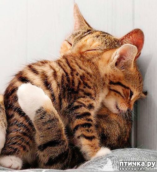 ���� 1: ����� � �������