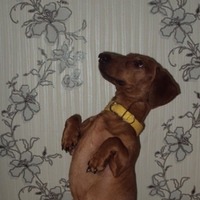 ����: ������������!