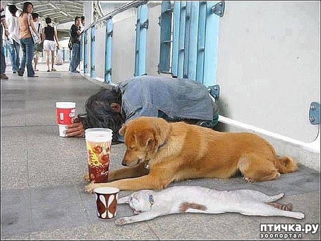 ���� 2: ������������!