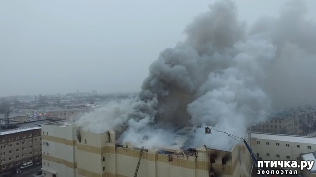 ���� 1: ��������:�� � ����.