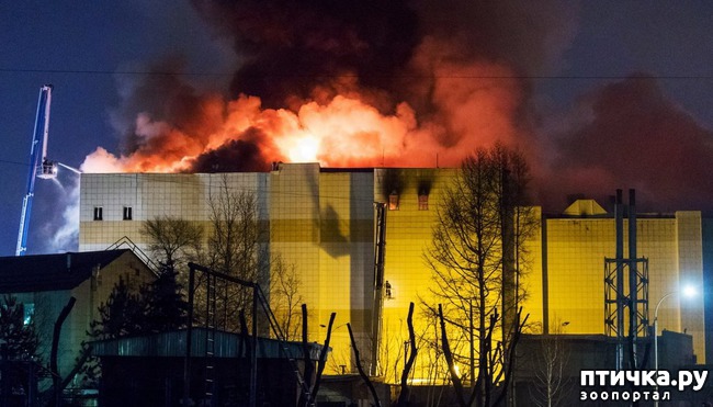 ���� 2: ��������:�� � ����.