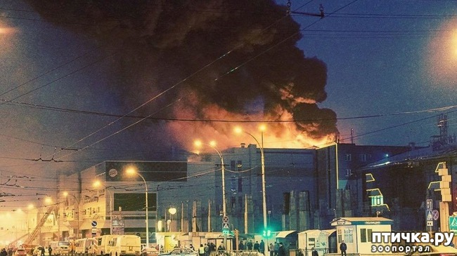 ���� 3: ��������:�� � ����.