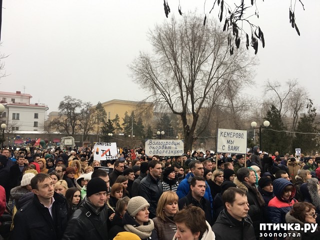 ���� 5: ��������:�� � ����.