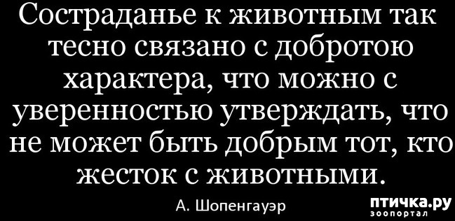 ���� 11: ��������� �� ����� �������� � ��, ��� ������� ��� ����� ������� ������